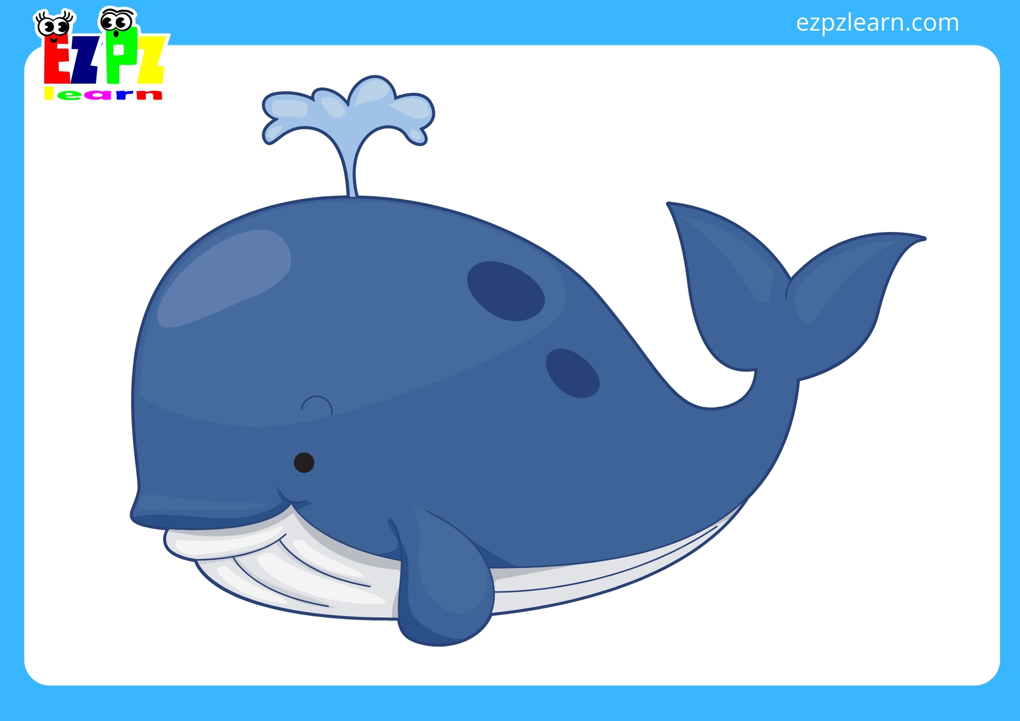 whale